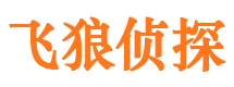 宁蒗市侦探公司